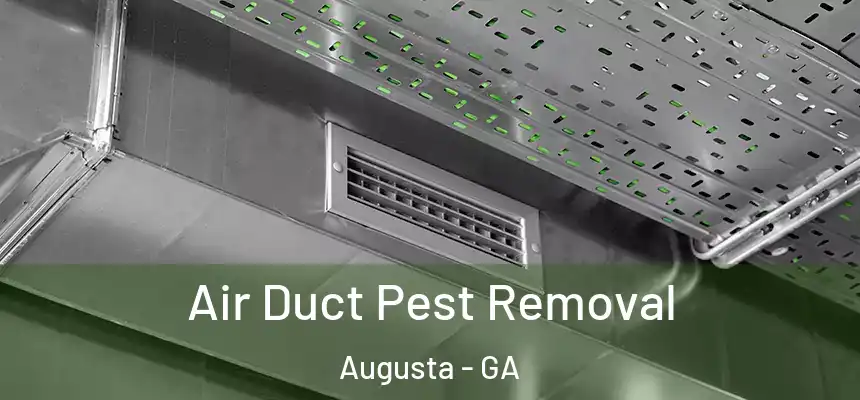  Air Duct Pest Removal Augusta - GA