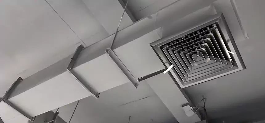 Our Pest Removal From Ducts Services in Augusta, GA