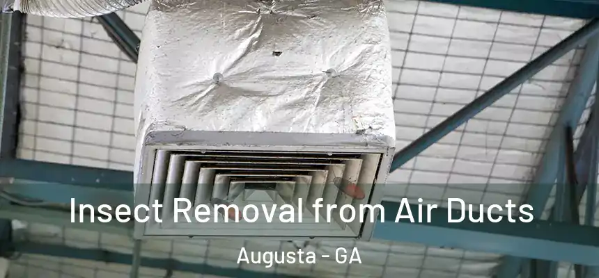 Insect Removal from Air Ducts Augusta - GA