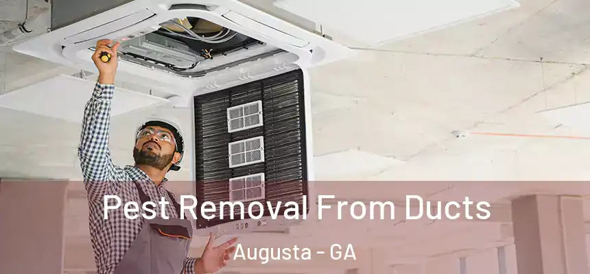 Pest Removal From Ducts Augusta - GA