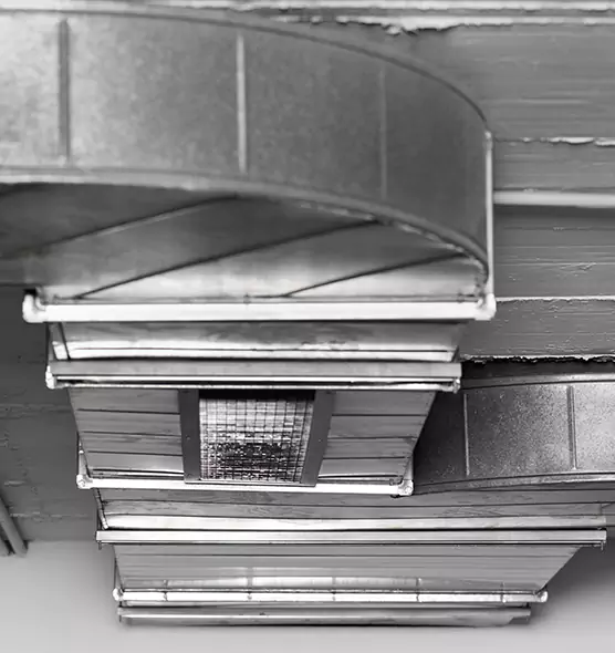 Professional Air Duct Pest Removal in Augusta, GA