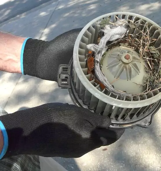 About Air Duct Rat Removal in Augusta, GA