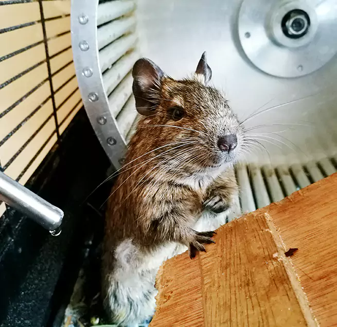 Why Homeowners & Businesses Trust Us Augusta, GA?