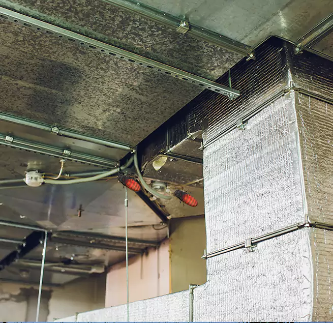 Why Homeowners & Businesses Trust Us Augusta, GA?